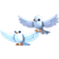 Turtle Doves - Rare from Winter 2025